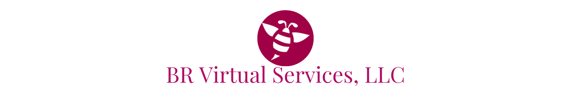 BR Virtual Services, LLC